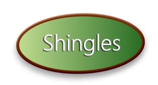 Shingles2